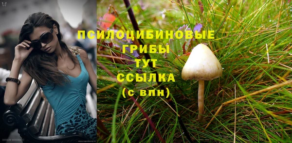 мескалин Майский